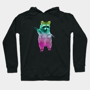 Rainbow Raccoon 3 Hoodie